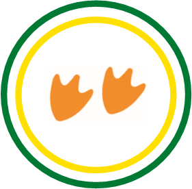 duck feet icon