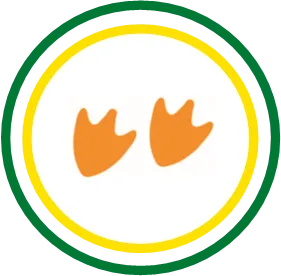 duck feet inside green and yellow circles